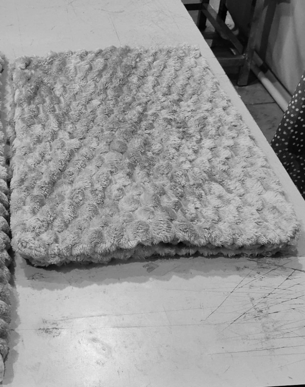 Coral Flannel Blanket